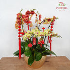 CNY Potted Plant Arrangement 2024#74