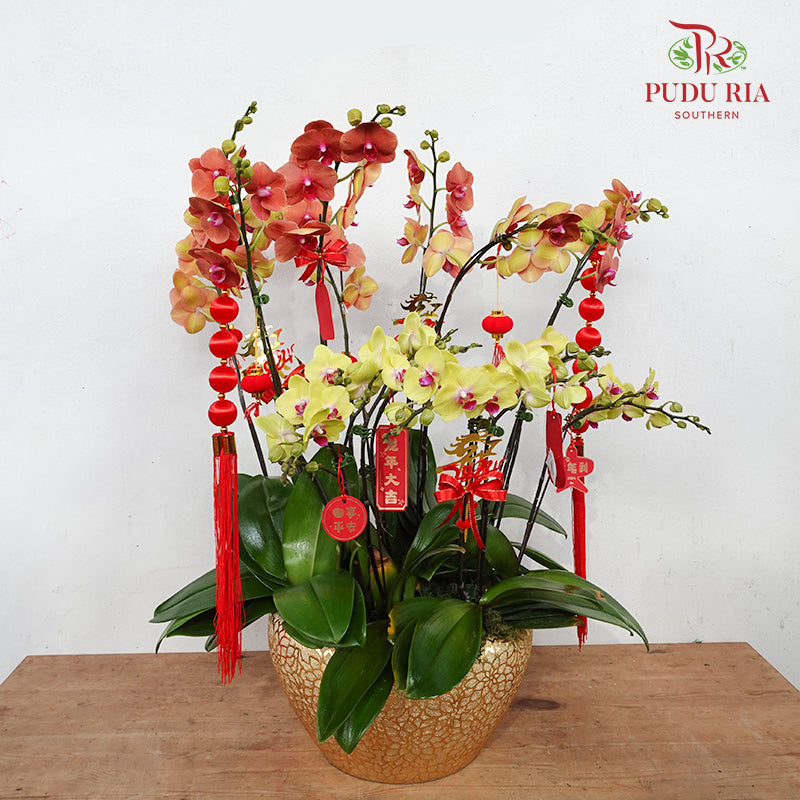 CNY Potted Plant Arrangement 2024#74