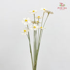 Dry Violet Love Shape - Center Yellow