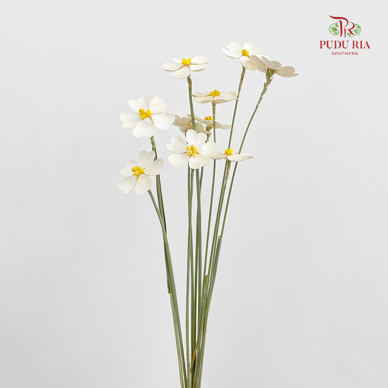 Dry Violet Love Shape - Center Yellow