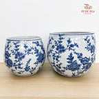 Q1B3Z Blue White Porcelain