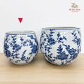 Q1B3Z Blue White Porcelain