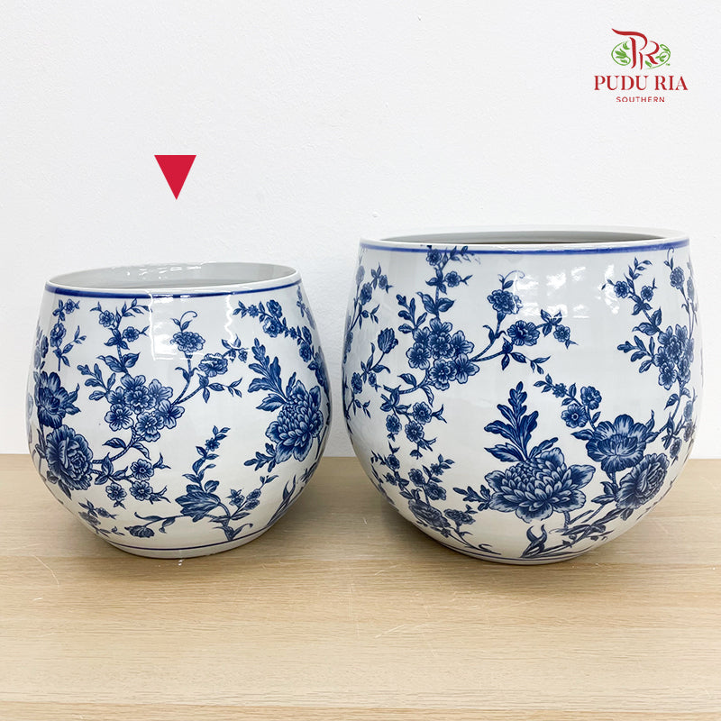 Q1B3Z Blue White Porcelain
