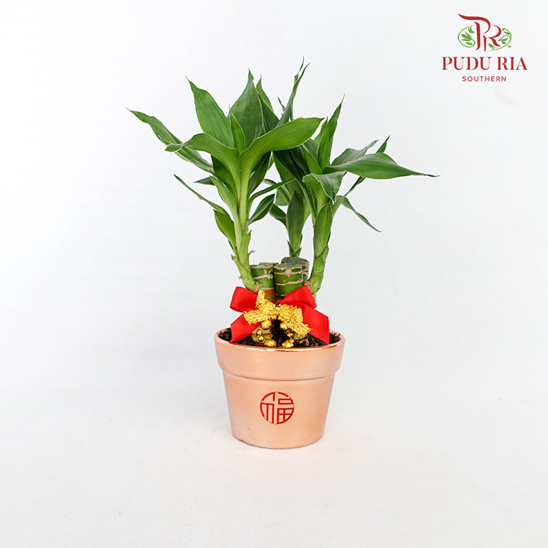 CNY Potted Plant Arrangement 2024#7