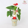 CNY Potted Plant Arrangement 2024#26