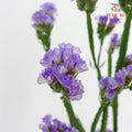 Statice Light Purple - Pudu Ria Florist Southern