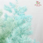Preservative Asparagus Fern Sky Blue