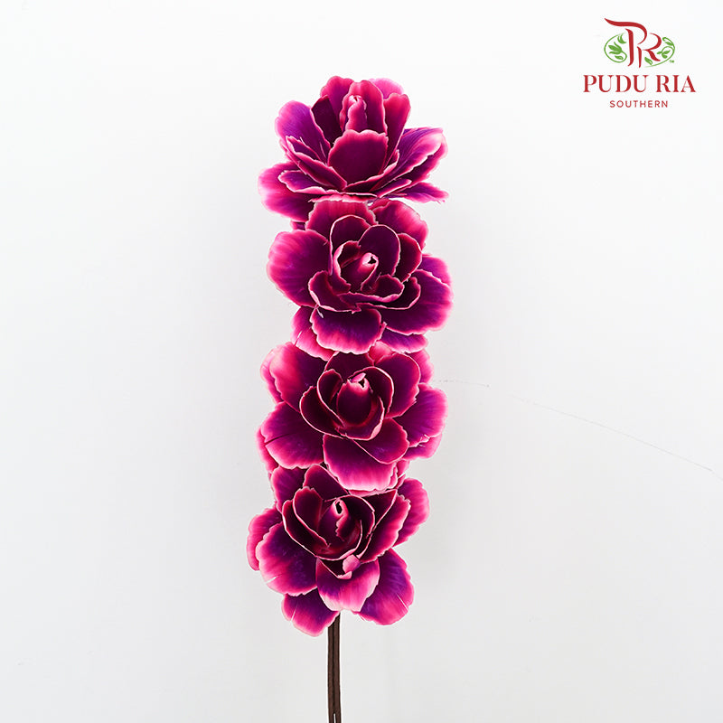 Dry Asia Peony Purple/Pink - 4 Stems