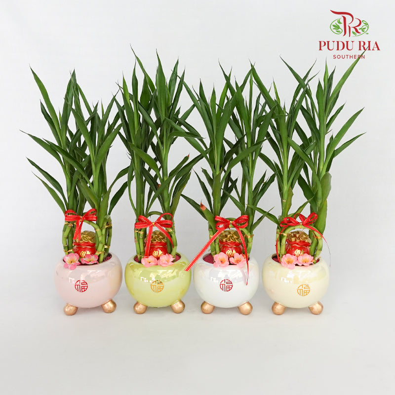 CNY Potted Plant Arrangement 2024#13
