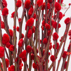 银柳分枝 Pussy Willow Spray Red (5FT) - (12 Stems)