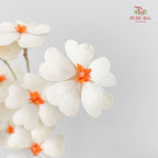 Dry Violet Love Shape - Center Orange