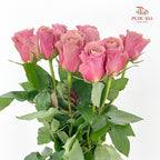 Rose Two Tone - (8-10 Stems)