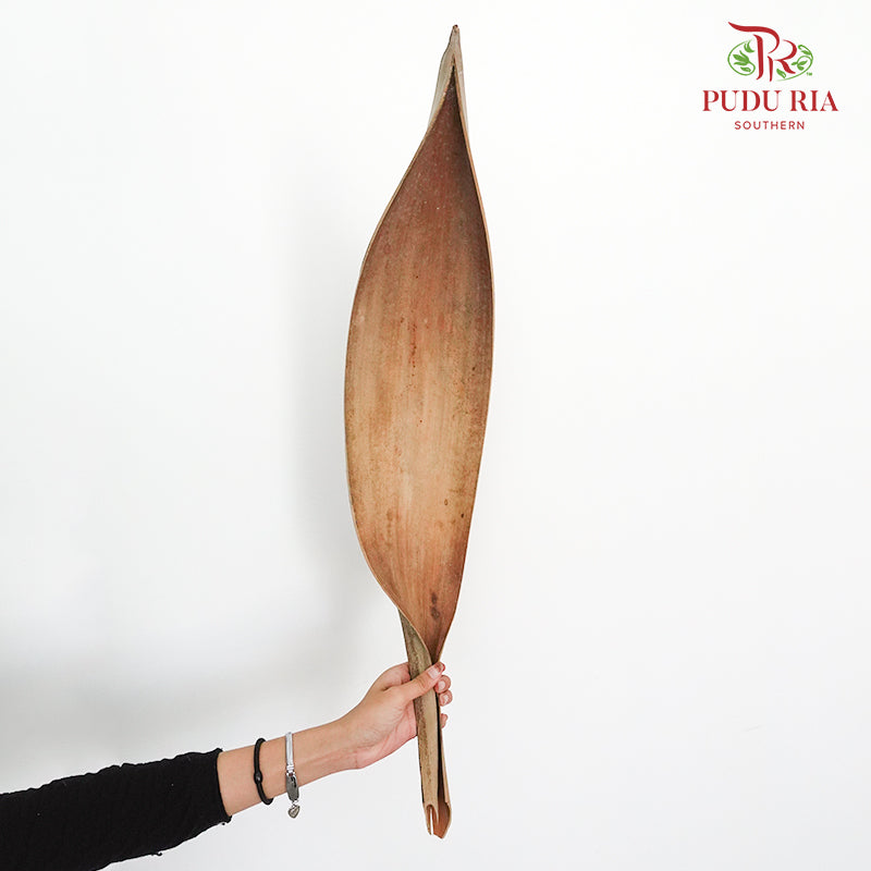 Preservative Palm Boat Natural - Pudu Ria Florist Southern