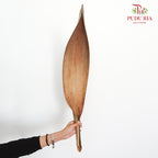 Preservative Palm Boat Natural - Pudu Ria Florist Southern