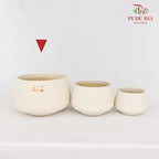 JBC-G23 Cream Pot