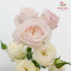 Rose Spray premium Pink white (8-10 Stems) - Pudu Ria Florist Southern