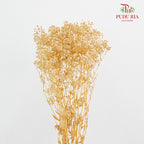 Preservative Baby Breath - Light Colour