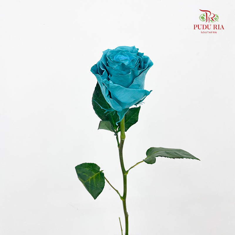 Rose Mondial Dyed Turqueza - (8-10 Stems)