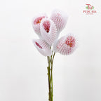 Dahlia Pink - (Per Bundle)