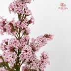 Erica Pink - (Per Bundle)