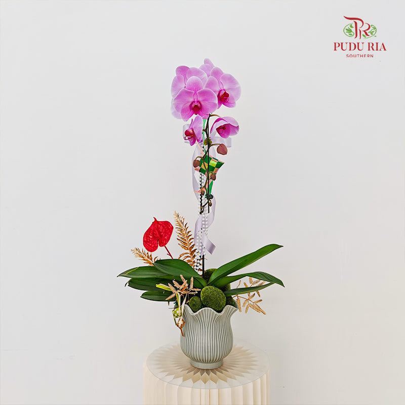 Hari Raya Arrangement - Phalaenopsis Orchid