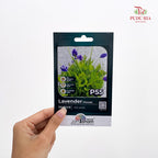 Flowers & Herbs Seeds
