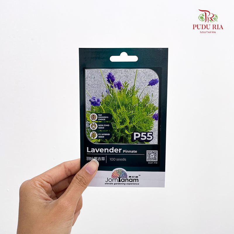 Flowers & Herbs Seeds