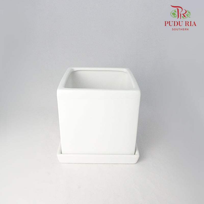 Asst Pot - White