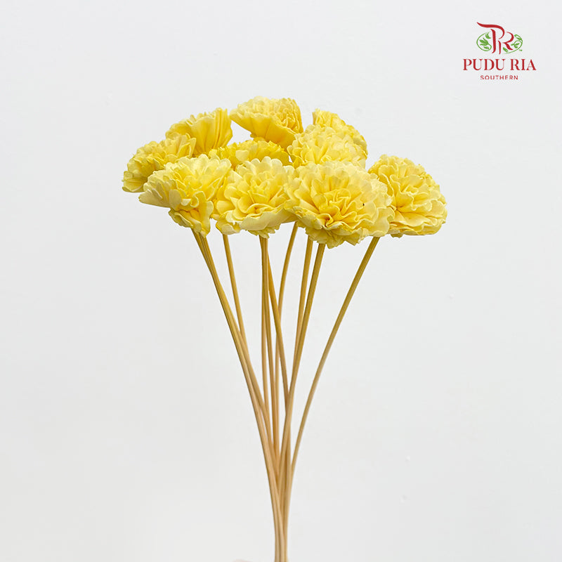 Dry Sola Marigold Light Yellow - 10 Stems
