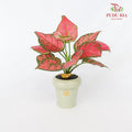 CNY Potted Plant Arrangement 2024#36