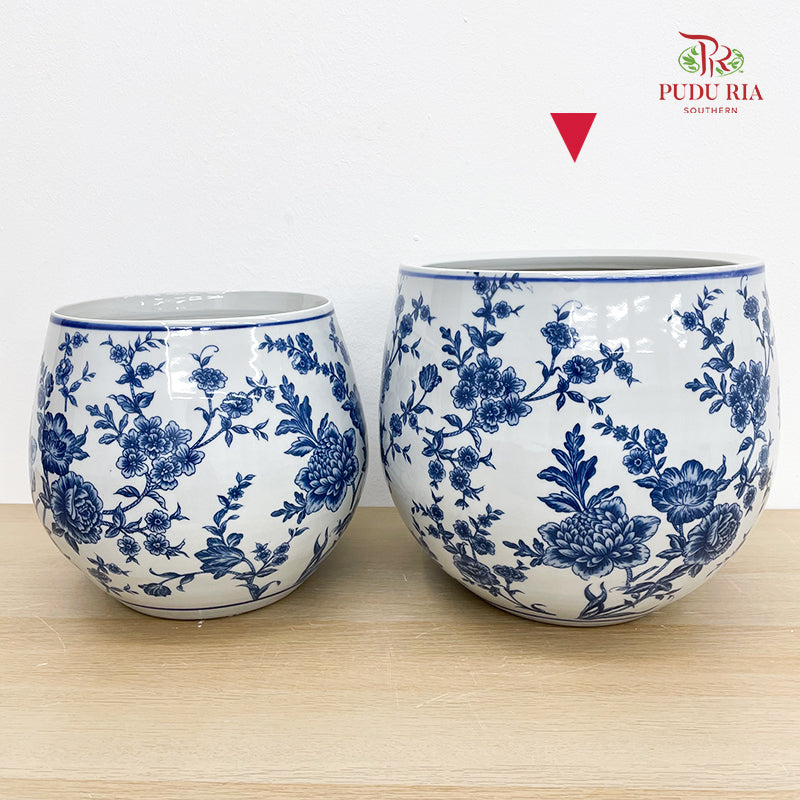 Q1B3Z Blue White Porcelain