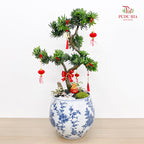 CNY Potted Plant Arrangement 2025#23