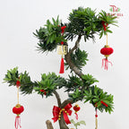 CNY Potted Plant Arrangement 2025#23