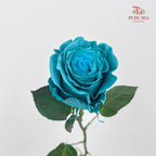 Rose Mondial Dyed Turqueza - (8-10 Stems)