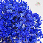 Preservative Baby Breath - Dark Blue