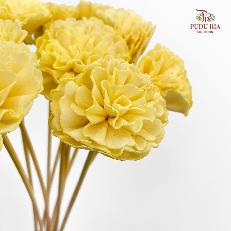 Dry Sola Marigold Light Yellow - 10 Stems