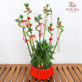 CNY Potted Plant Arrangement 2024#56