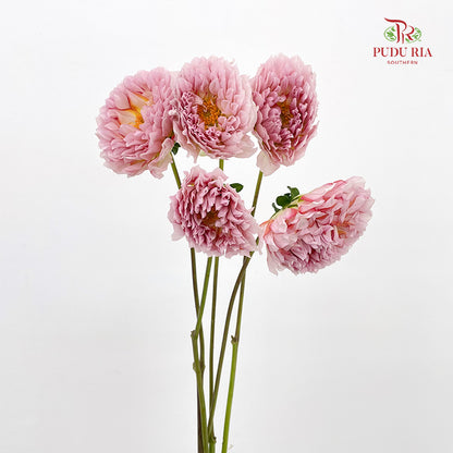 Dahlia Pink - (5 Stems)