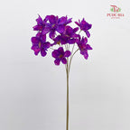Dry New Wax Flower - Purple