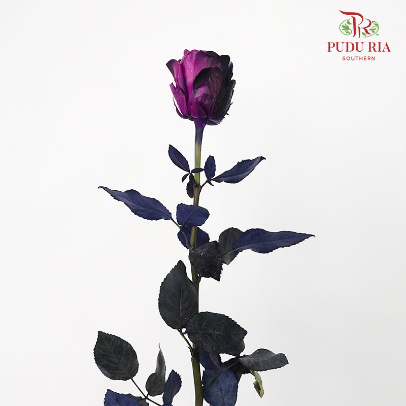 Rose Mondial Dyed Starry Galaxy (8-10 Stems) - Pudu Ria Florist Southern