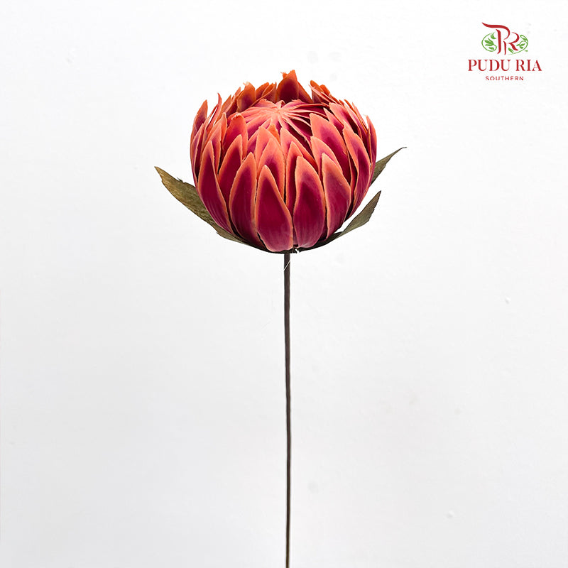 Dry Protea - 2 Stems