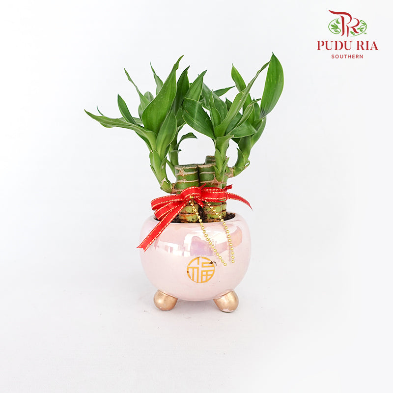 CNY Potted Plant Arrangement 2024#10