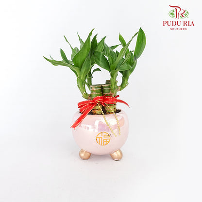 CNY Potted Plant Arrangement 2024#10