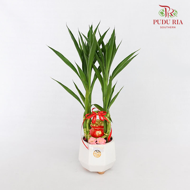 CNY Potted Plant Arrangement 2024#12