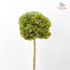 Preservative Hydrangea - Army Green / Per Stem