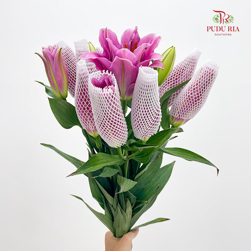 Rose Lily Pink 玫瑰百合 - (5 Stems)