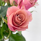 Rose Two Tone - (8-10 Stems)