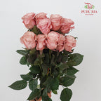 Rose Mondial Dyed Dusty Flamingo 1 - (8-10 Stems)