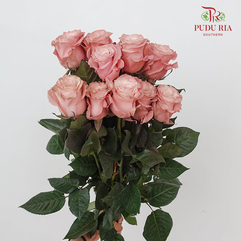 Rose Mondial Dyed Dusty Flamingo 1 - (8-10 Stems)