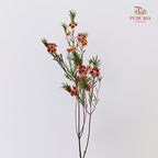 Wax Flower Champagne 蜡花 - (Per Bundle)